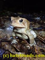 /home//u458753944/public_html/sourcegallery//McKaig Nature Center/2020-09-27/P9270726.JPG